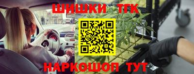 скорость Будённовск