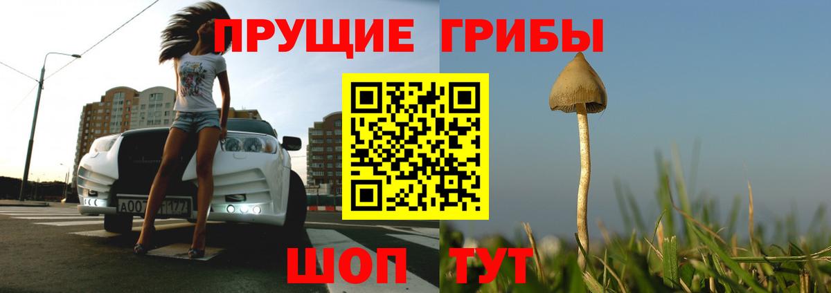 Галлюциногенные грибы мицелий  Псилоцибиновые грибы Magic Shrooms  Вход с VPN  Тельмана 